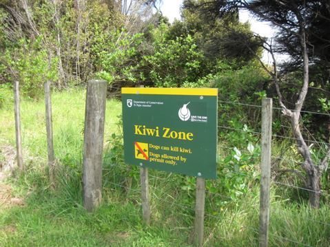 Kiwi Zone Sign